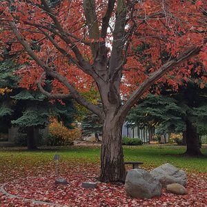 Meet your Posher, Summer breeze